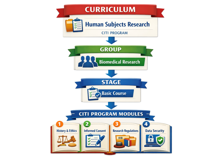 CITI Program course structure showing Human Subjects Research, Biomedical Research group, Basic Course, and four modules.